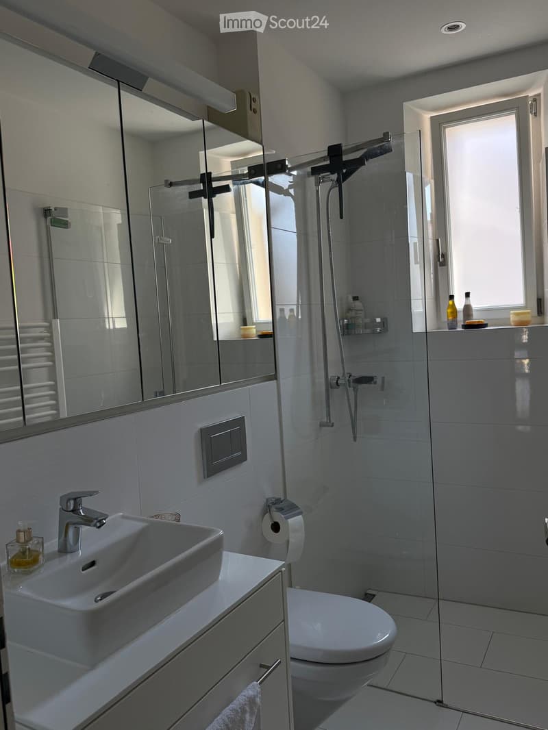 Modern bathroom with white tiles, a sink, toilet, shower, and a large mirror. The shower has a glass enclosure and a handheld showerhead. A towel hangs on a rack, and toiletries are placed on the sink counter and shower shelf.