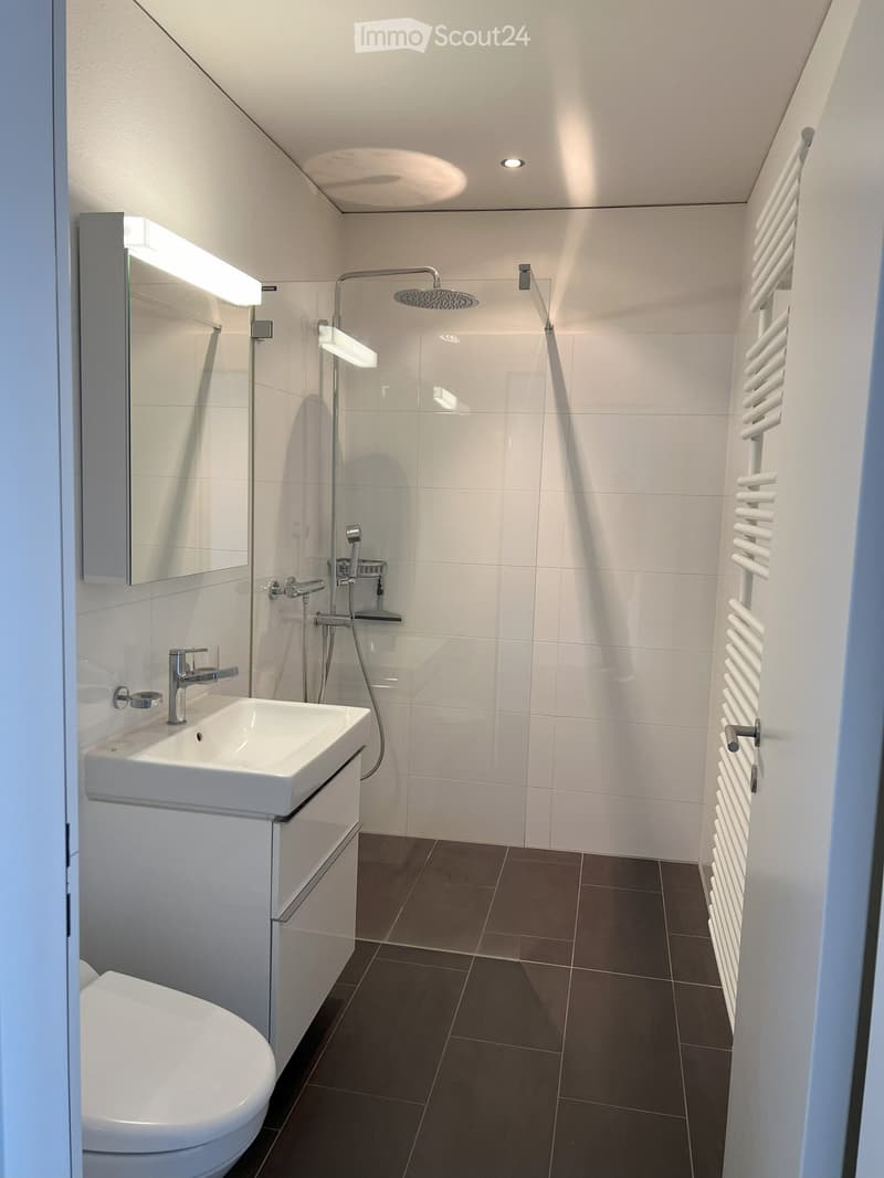 Modern bathroom with white tiles, a toilet, a sink with a chrome faucet, a shower with a handheld sprayer, a built-in mirror with lighting, and a white radiator.
