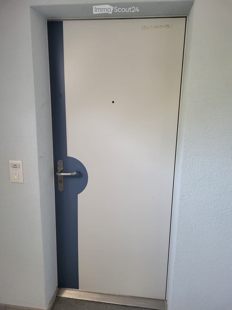 A white door with a silver handle is set in a light gray wall, featuring a small light switch on the left side.