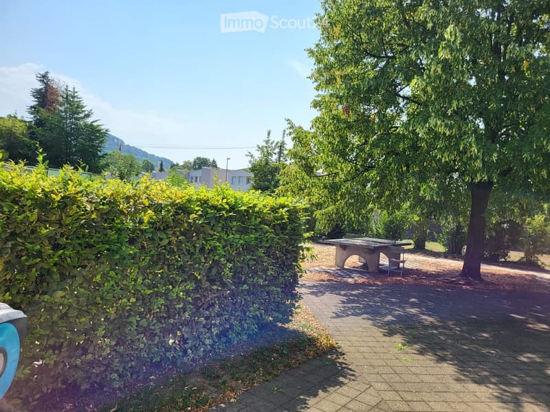 A well-maintained garden area with a paved pathway, a table and chairs, surrounded by trees and shrubs, with a hedge on one side and a building visible in the background.