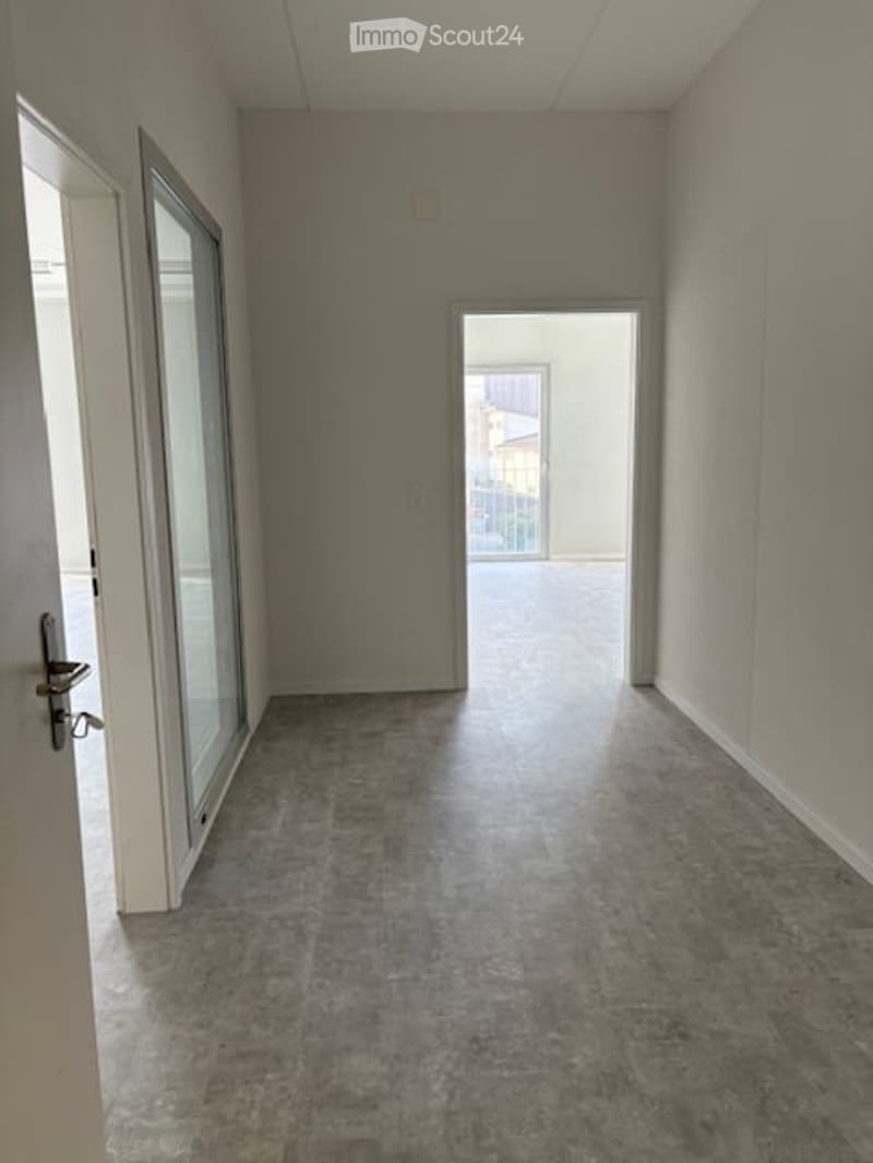 Empty hallway with grey concrete floor, white walls, glass doors, and a visible balcony area beyond.