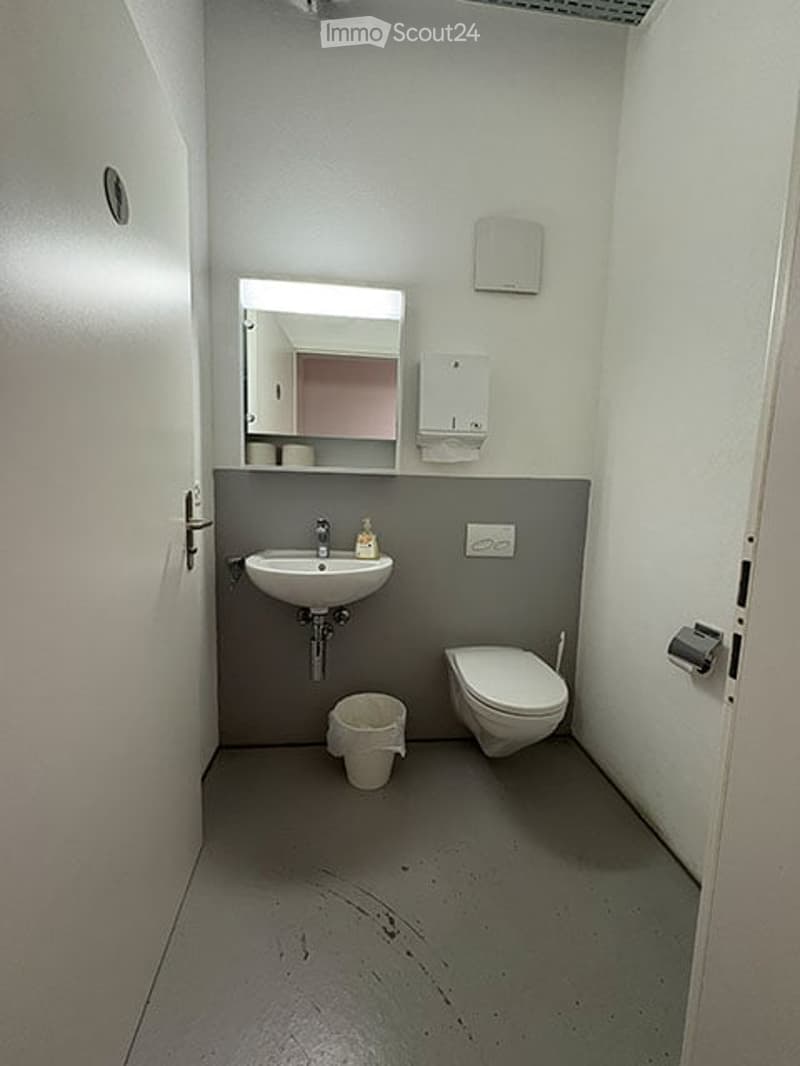 Modern, compact bathroom with white walls, grey lower half, a white sink, a toilet, a mirror, and a soap dispenser. A small trash bin is placed on the floor.
