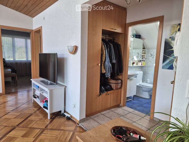 A furnished room with a TV on a white stand, a wooden cabinet with hanging clothes, a wicker basket, a small plant, and an open door leading to a bathroom with a sink and toilet.