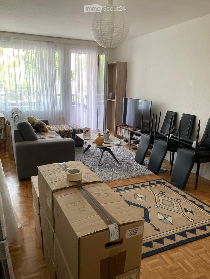 Living room with a grey sofa, coffee table, dining chairs, TV, and shelves. Wooden floor, large windows with curtains, and several cardboard boxes stacked in the foreground.