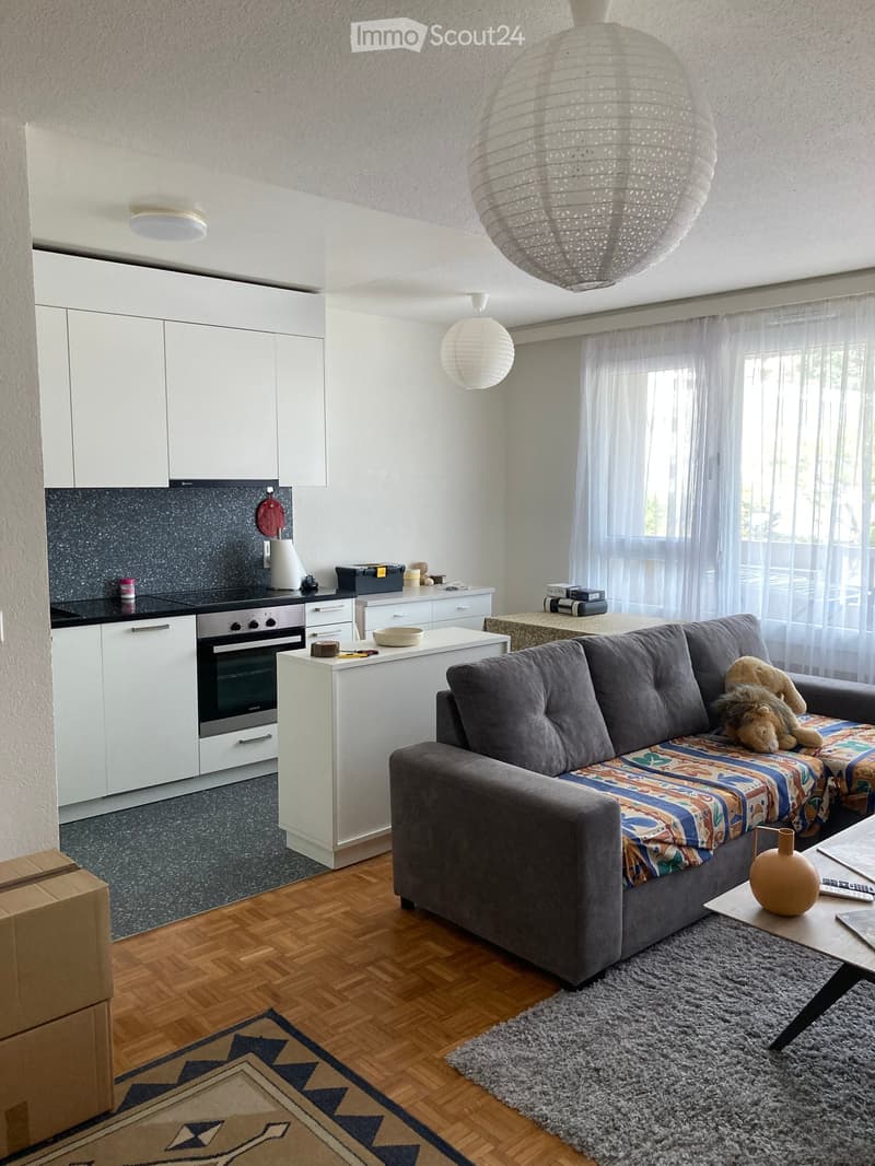 A modern living room with a grey sofa, colorful cushions, a coffee table, and a kitchen area with white cabinets and a black countertop.