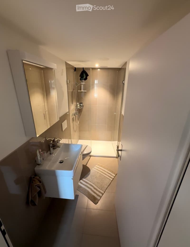 Modern bathroom with a white sink, mirror, toilet, and a glass-enclosed shower. Includes a striped bathroom rug and a small cabinet.