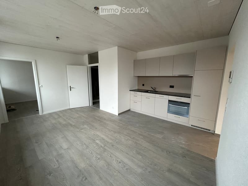 Empty room with light grey wooden flooring, white walls, and a small kitchen area featuring cabinets, sink, and oven.