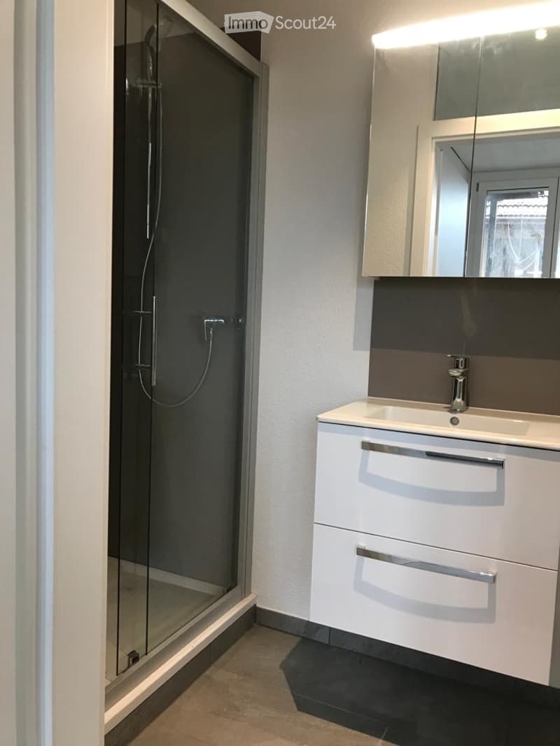 Modern bathroom with a white vanity cabinet, a large mirror, a glass-enclosed shower, and a sleek sink.