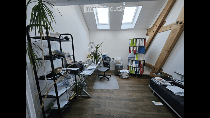 A modern, well-lit room with wooden flooring, white walls, and skylights. It features a black shelving unit, a desk with a chair, a small sofa, and several potted plants.