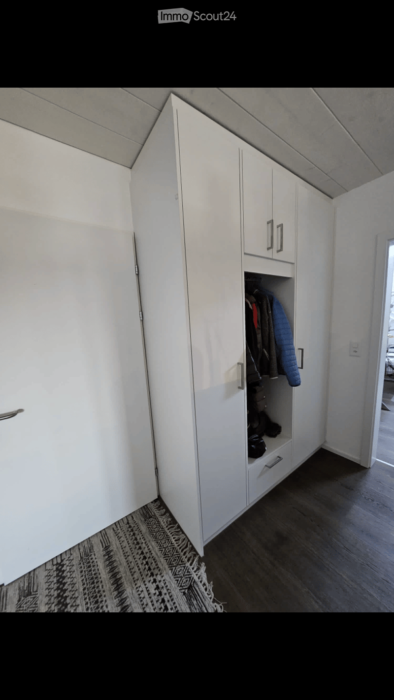 A modern hallway with white built-in storage units, dark wooden flooring, and a patterned rug. The storage includes cabinets and a small open shelf holding jackets and shoes.