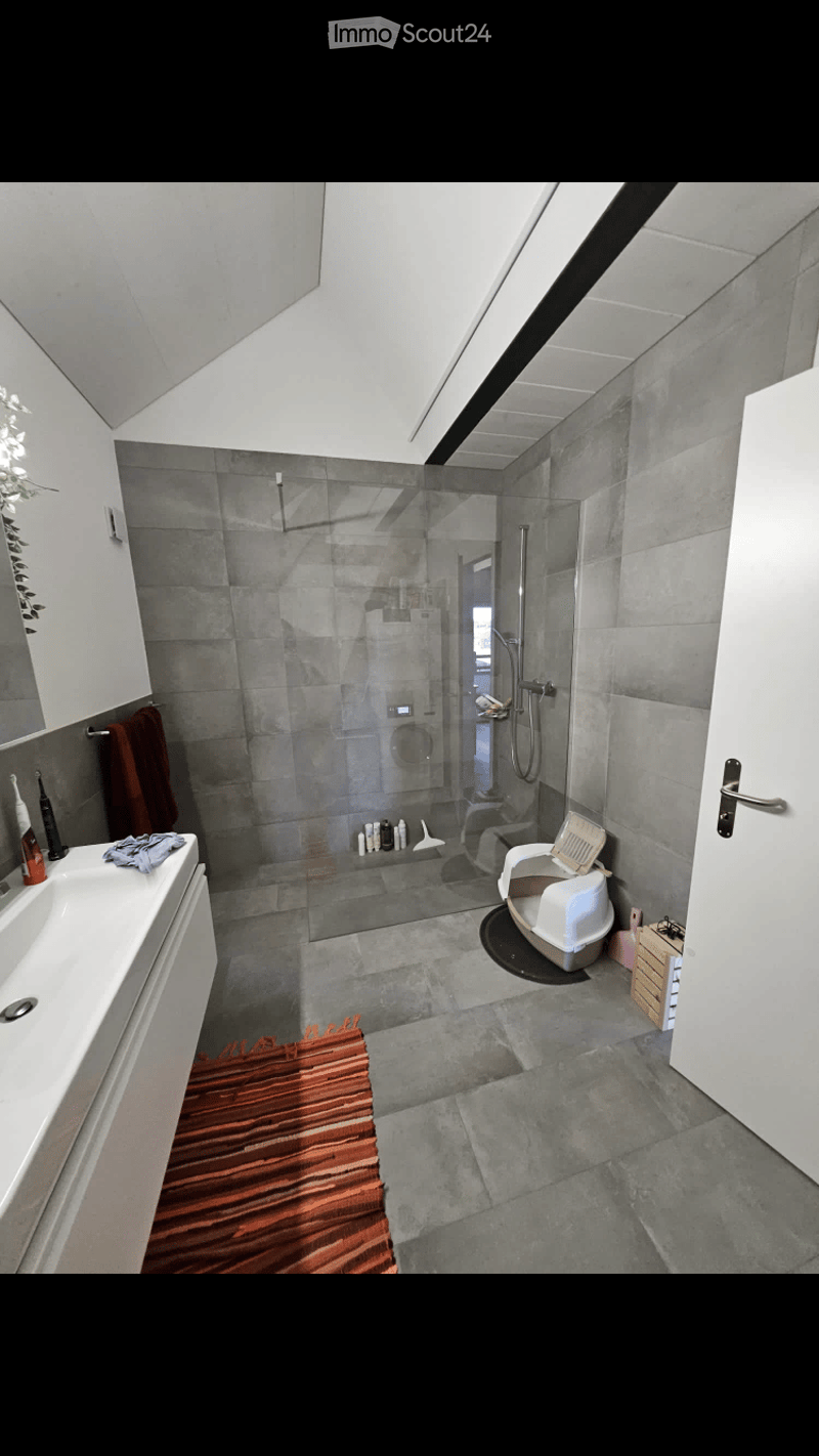 Modern bathroom with grey tiles, a glass-enclosed shower, a white sink with a mirror, a red bath mat, and a cat litter box in the corner.