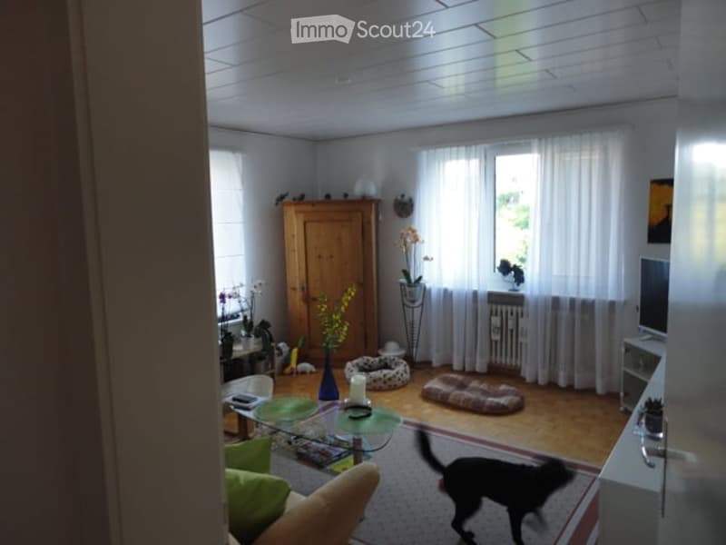 Bright living room with wooden flooring, large windows with white curtains, a sofa, coffee table, armchair, cabinet, flower vase, dog bed, and a TV screen.