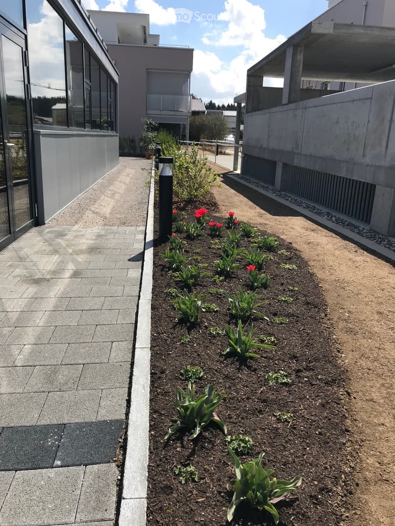 Modern garden area with a paved walkway, small flower beds with tulips, and surrounding contemporary buildings.