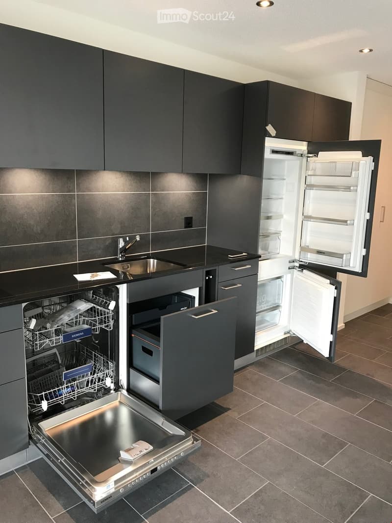 Modern kitchen with dark grey cabinets, stainless steel appliances, and a black countertop. The refrigerator and dishwasher are open, revealing their interiors.