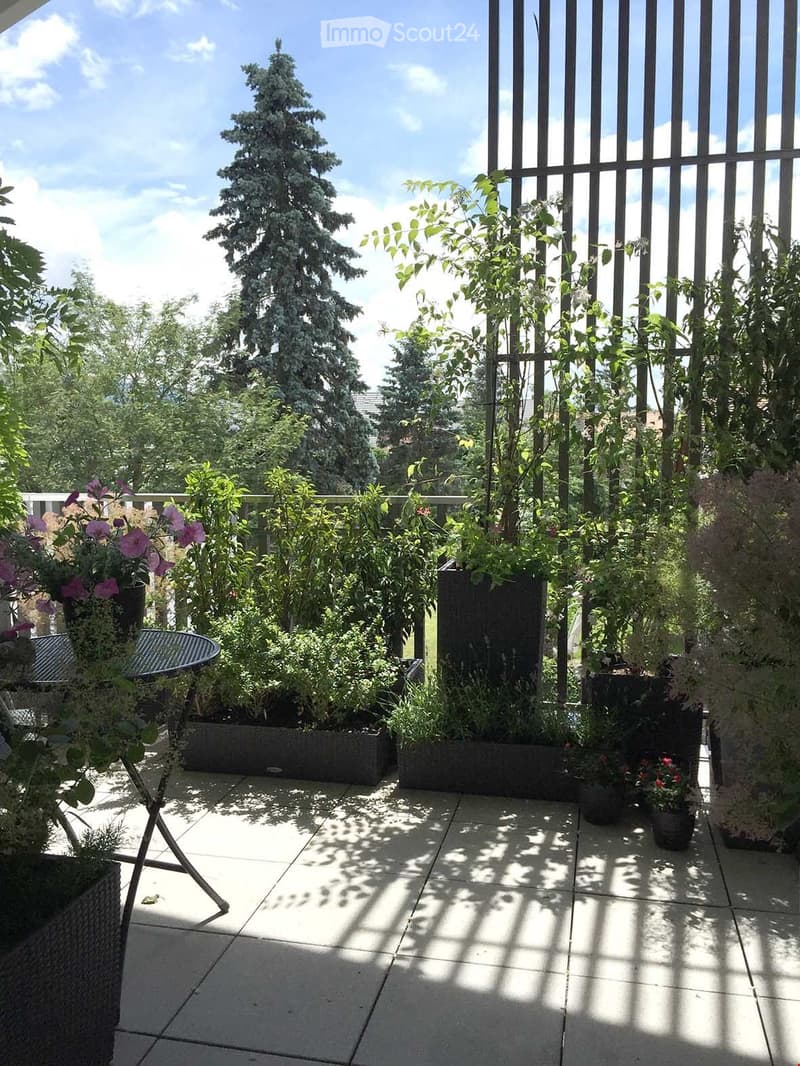 balcon terrasse.JPG