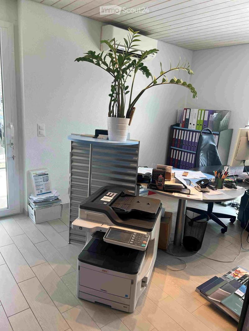 Office space with a desk, chair, printer, potted plant, filing cabinet, computer screen, books, and a telephone.