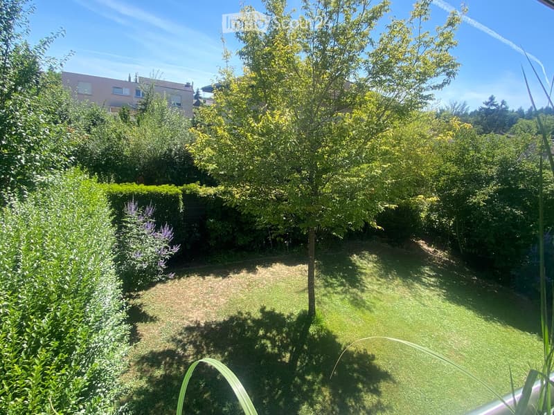 Well-maintained garden with green grass, trimmed hedges, flowering shrubs, and trees providing shade.