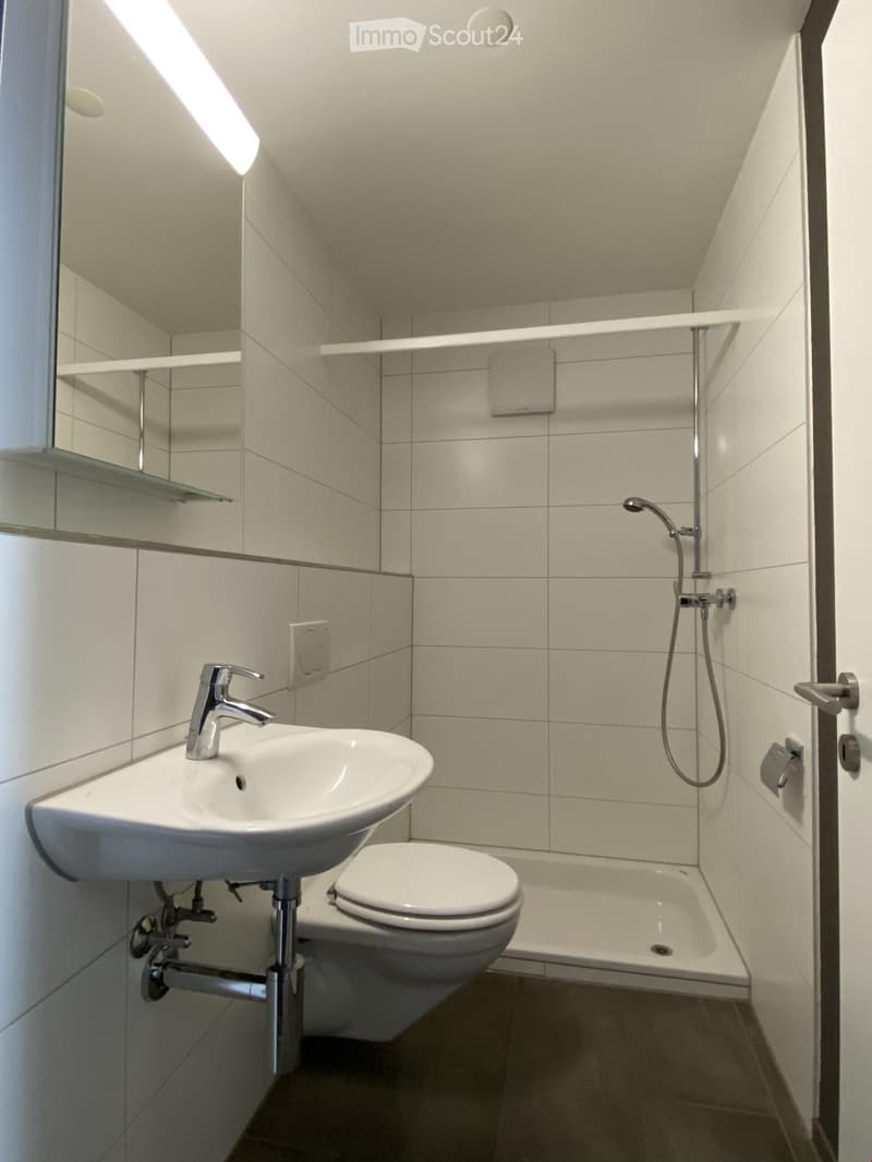 Modern bathroom with white tiles, a sink, toilet, bathtub, and a showerhead. Features a large mirror and built-in shelves.
