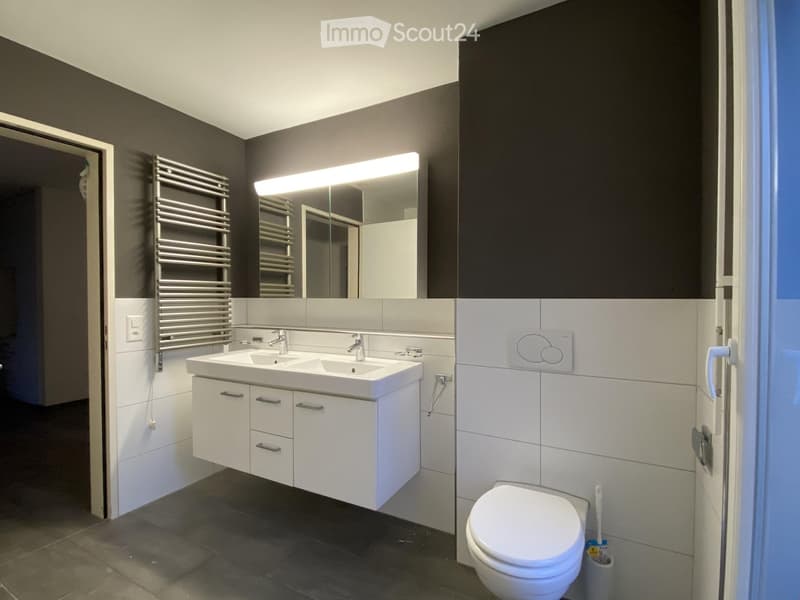 Modern bathroom with double sink, large mirror, built-in cabinets, toilet, and a towel radiator.