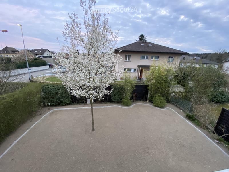Driveway leading to a house with a blooming tree, surrounded by hedges and greenery.