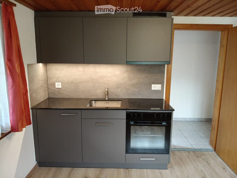 Kitchen. Modern kitchen with grey cabinets, stainless steel sink, electric stovetop, and built-in oven. Wooden ceiling and tiled floor.