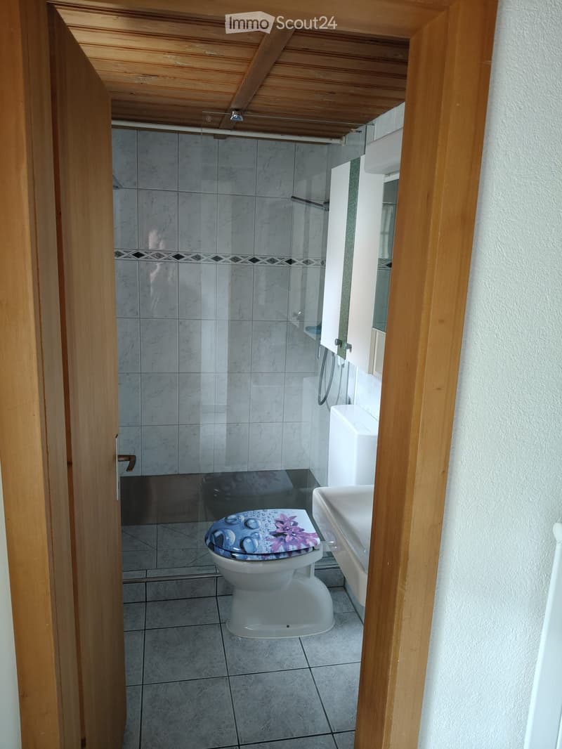 Bathroom. Modern bathroom with a toilet, sink, and glass-enclosed shower. The toilet has a decorative seat cover, and the shower area features tiled walls and a glass door.
