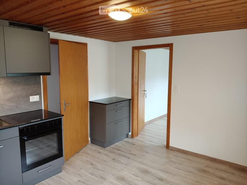 Kitchen. Modern kitchen with wooden ceiling, grey cabinets, and a black oven. Features include a wooden door, a small cabinet with drawers, and a round ceiling light.