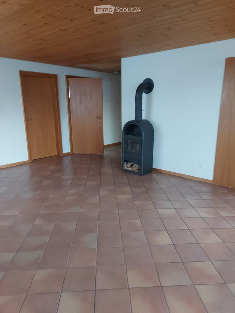 Empty room with tiled floor, light blue walls, wooden doors, and a black wood-burning stove with a chimney.
