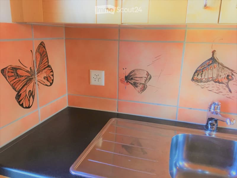 Kitchen with orange tiled backsplash featuring butterfly designs, black countertop, and stainless steel sink.