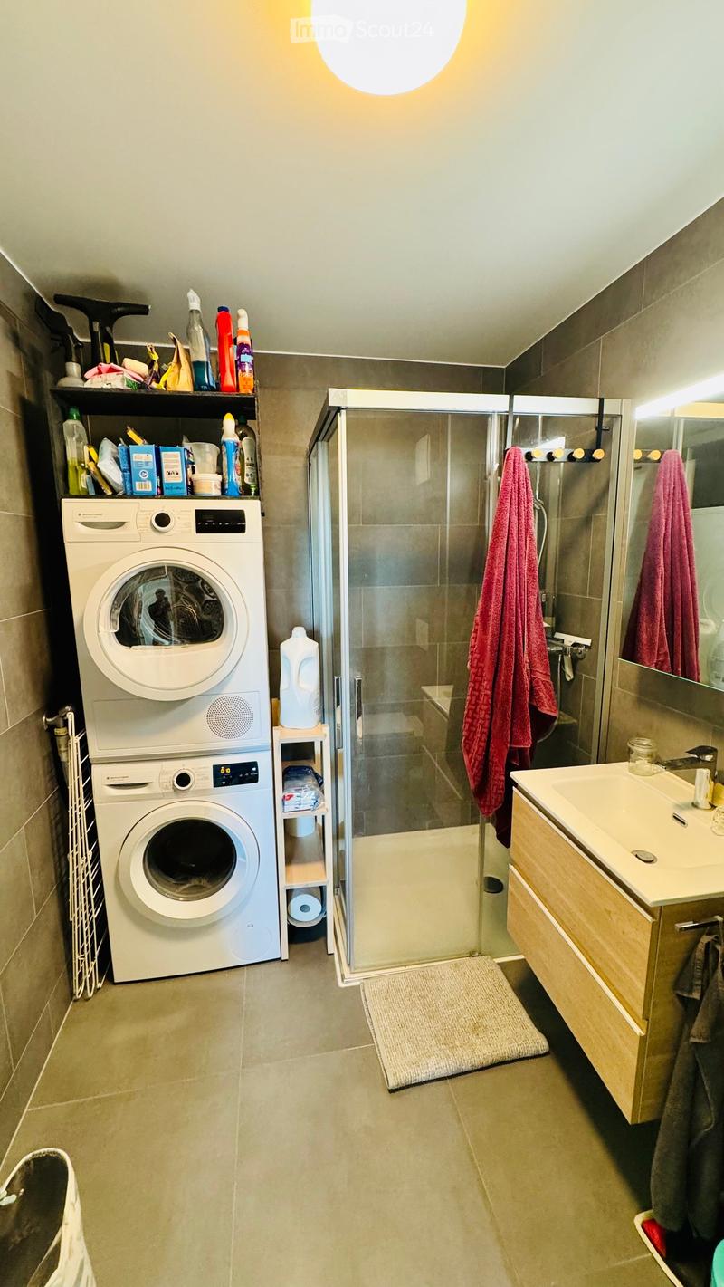 Bathroom with a washing machine and dishwasher unit, a glass-enclosed shower, a sink with a mirror, and a shelf holding cleaning supplies.