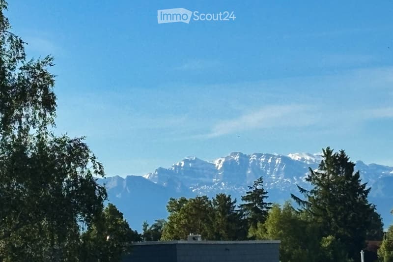 A serene outdoor view with a clear blue sky, snow-capped mountains in the background, and a variety of trees in the foreground.