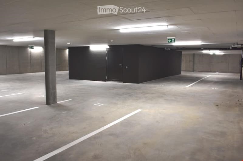 {"visible_features": ["Garage"], "type": "Garage", "objects": [], "description": "Underground parking garage with concrete floors and walls, marked parking spaces, and a central black storage unit.", "localized_descriptions": {"EN": "Underground parking g