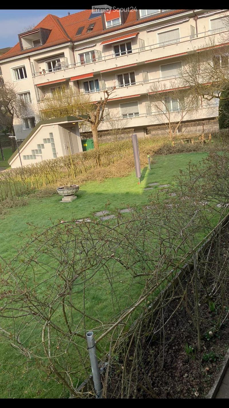 Well-maintained garden with green grass, a decorative stone planter, and a small raised structure near the building.