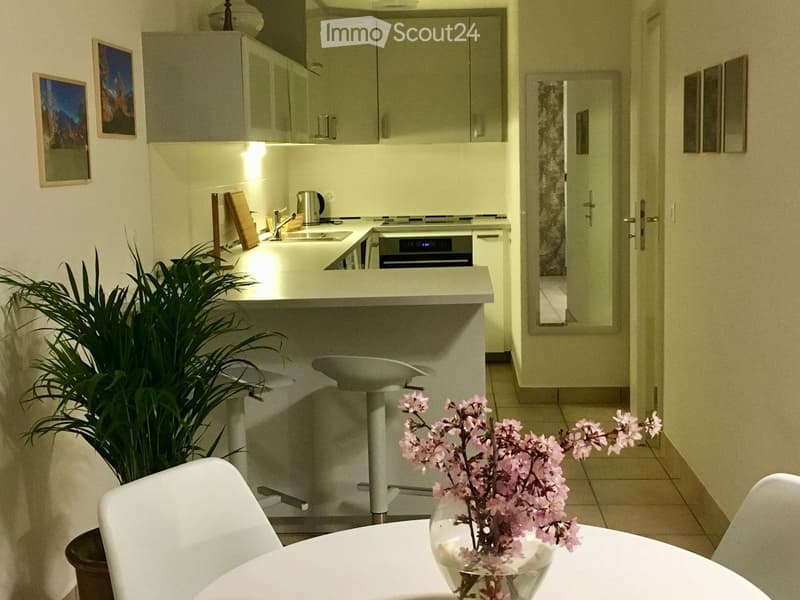 modern kitchen with a counter, two stools, plant, flowers in a vase, and framed pictures on the wall