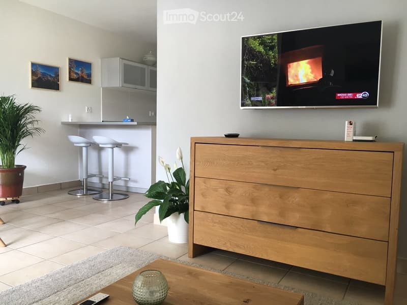 Open kitchen area with two stools, potted plants, wooden cabinet, tile floor, television, counter with cabinets