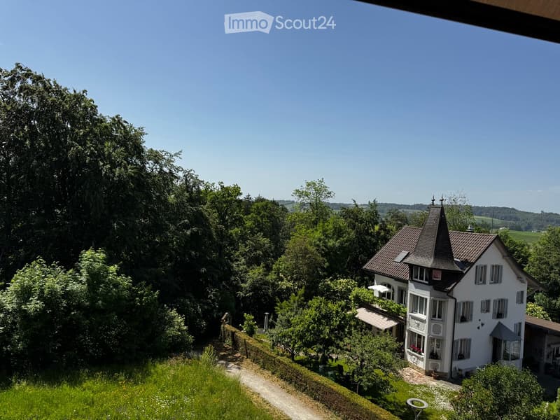 Exklusive 5.5 Zimmer Wohnung wenige Gehminuten vom Bahnhof Düdingen und Dorfzentrum (1)