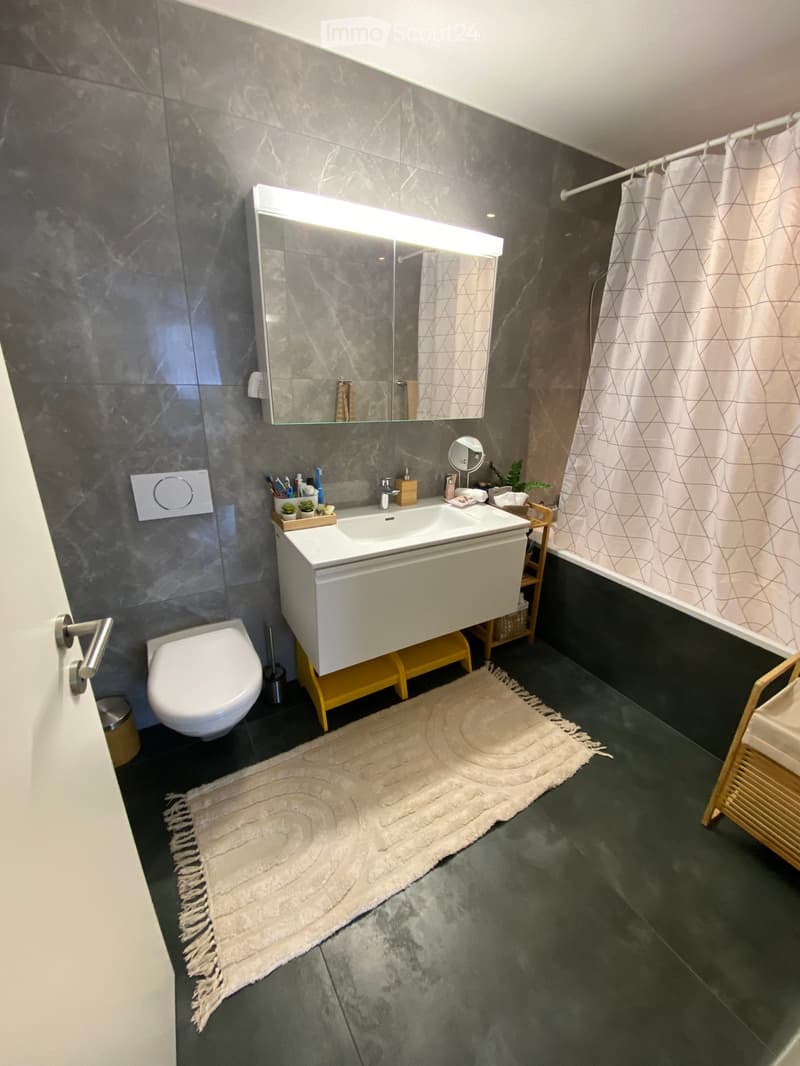 Modern bathroom with dark grey marble walls, a white sink with a built-in cabinet, a toilet, a large mirror with built-in lighting, a shower curtain, and a small plant on a wooden shelf.