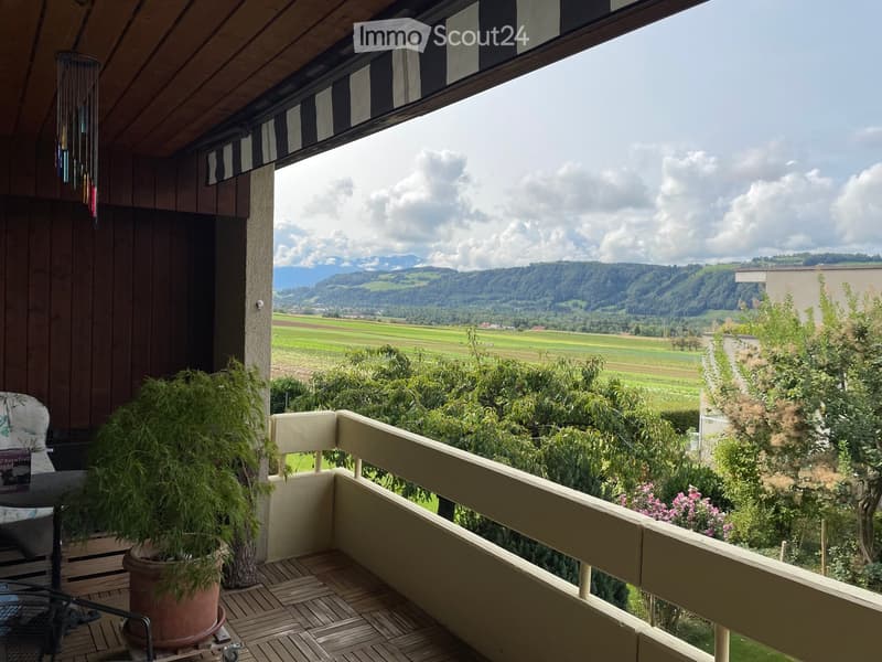 Balcony with wooden decking, potted plant, chair, and scenic countryside view.