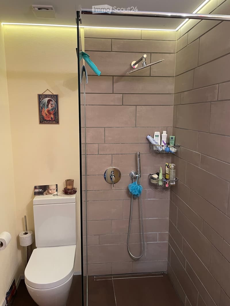 Modern bathroom with a toilet, glass-enclosed shower, and multiple showerheads. Includes a shower basket with toiletries, a cup on the toilet tank, and a picture frame on the wall.