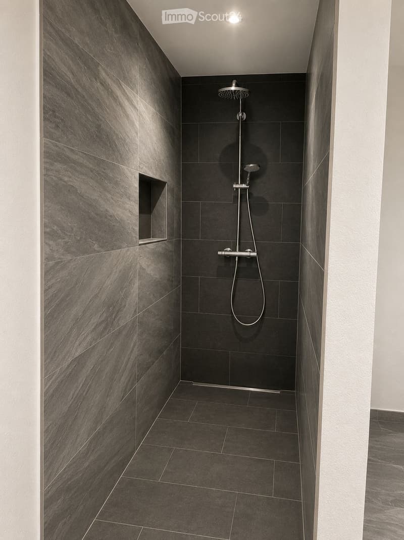 Modern shower area with dark grey tiles, a handheld showerhead, and a built-in shelf.