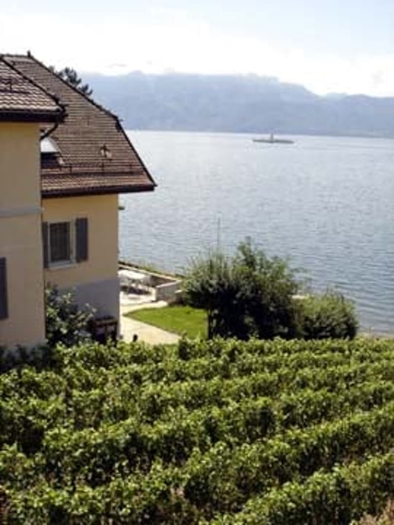 View of a house with a vineyard and a lake in the background.