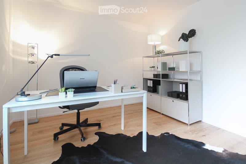 white desk, black office chair, silver laptop, white cabinet, black rug, lamps, plants