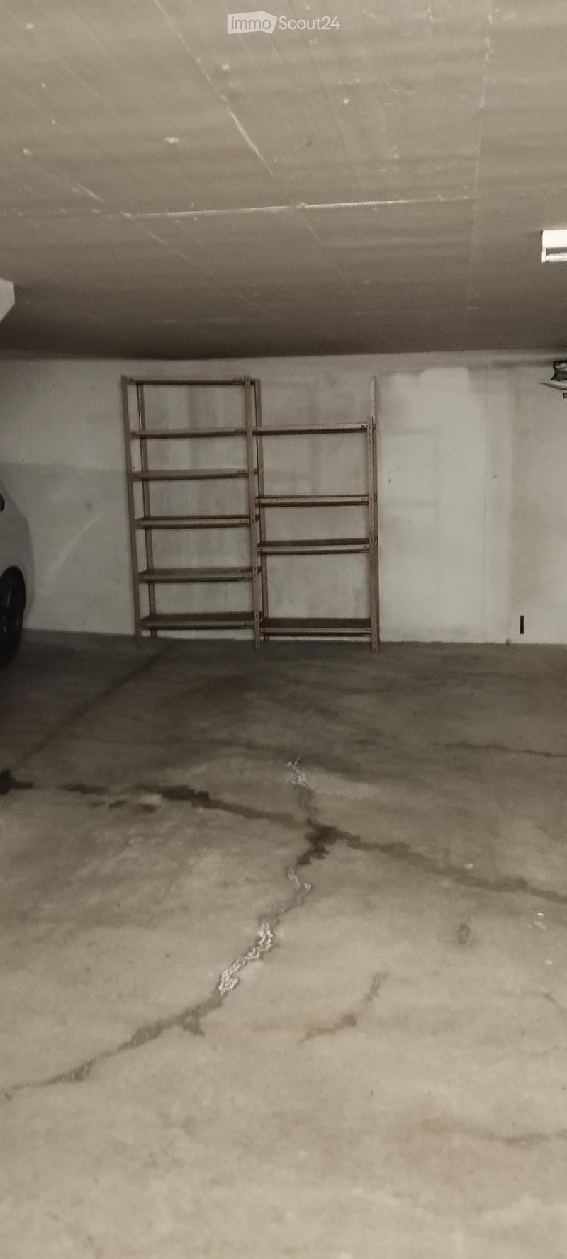 {"visible_features": ["Garage"], "type": "Garage", "objects": ["shelf"], "description": "Empty garage with a metal shelf and a partial car visible on the left side.", "localized_descriptions": {"EN": "Empty garage with a metal shelf and a partial car visi