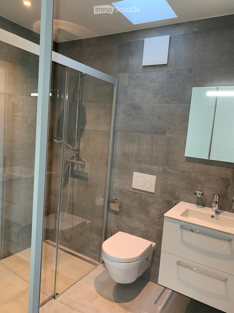 Modern bathroom with a glass-enclosed shower, toilet, sink, and mirror. Features grey tiled walls and a skylight above.