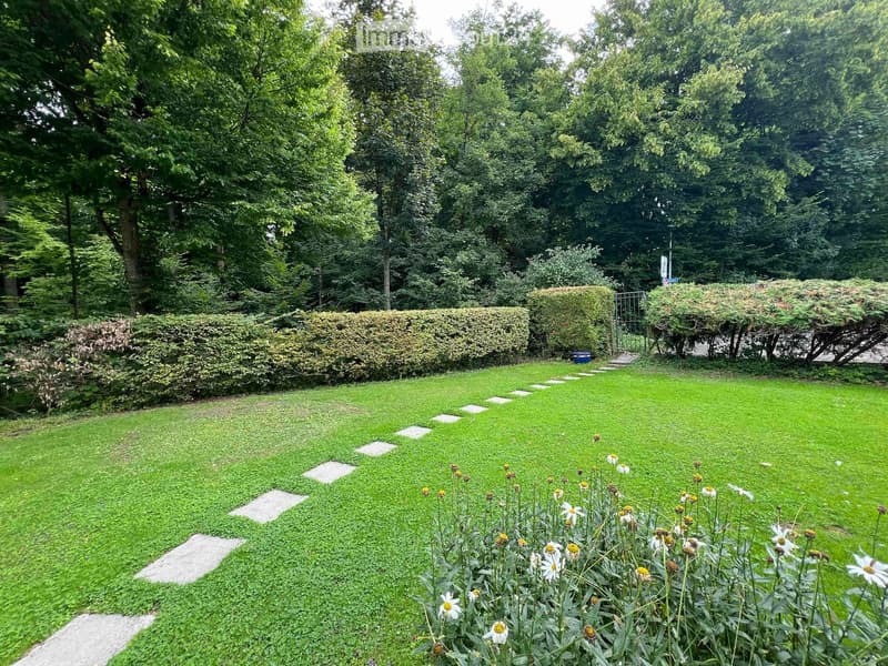Well-maintained garden with a lush green lawn, scattered stepping stones, and a variety of flowering plants and shrubs.