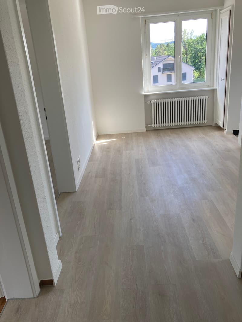 Empty hallway with light wooden flooring, white walls, and a radiator near a large window with a view of the outside.