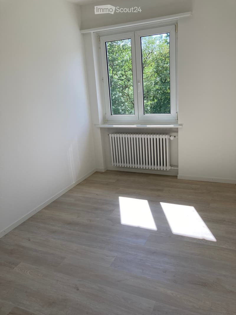 Empty room with light wooden flooring, white walls, and a large window with a radiator below it.