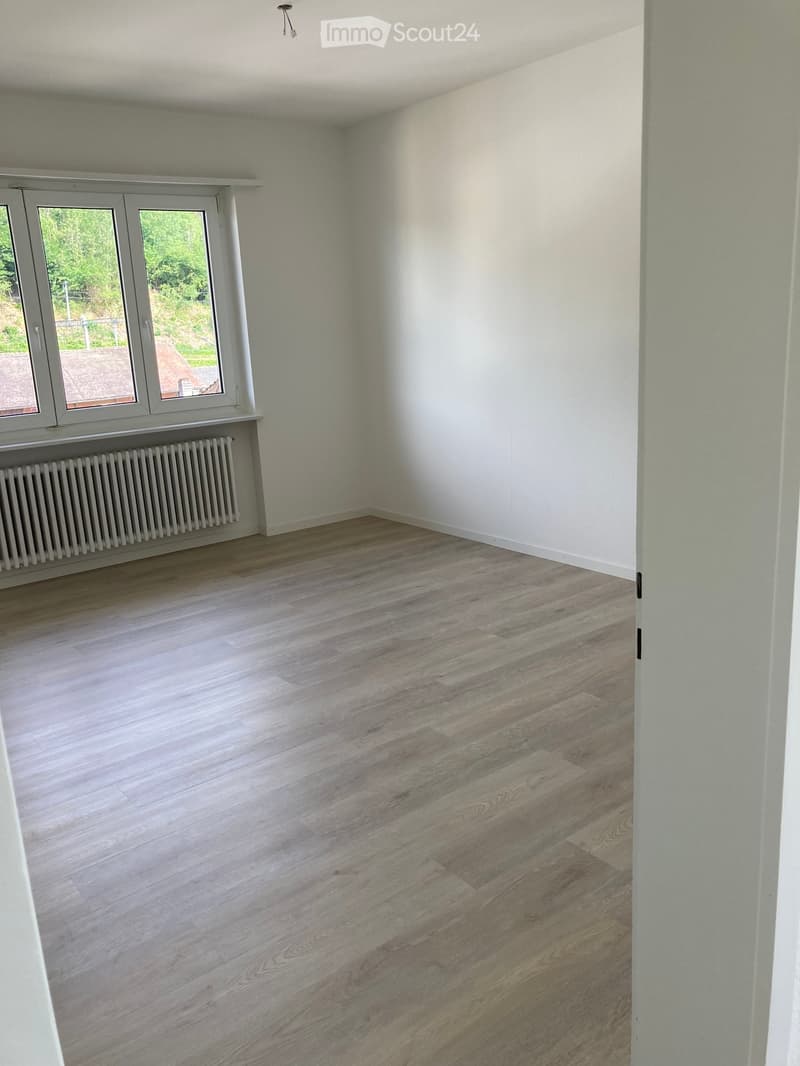 Empty room with light-colored wooden flooring, white walls, and a radiator beneath a large window with a view of greenery outside.