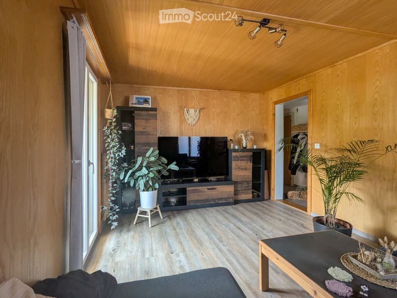 Modern living room with wooden walls and ceiling, large windows, sofa, coffee table, TV, and plants.