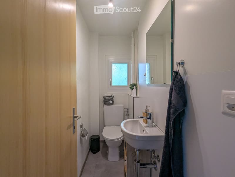 Modern bathroom with white walls, a toilet, a sink with a modern faucet, a large mirror, a towel hanging on a rack, a small plant on the windowsill, and a trash bin.